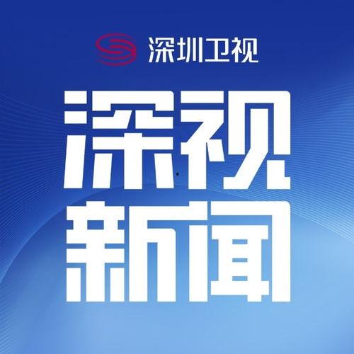 深圳市电视台新闻爆料,聚焦城市热点事件，揭示社会现象背后的真相